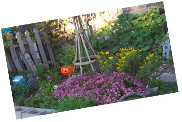 fall herb bed