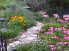 pathway with conflowers