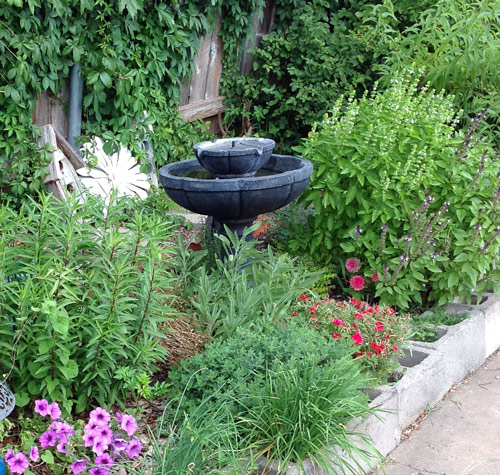 herb bed